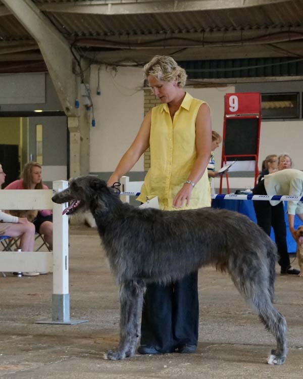 Beardswood Ripley for Calbraidh